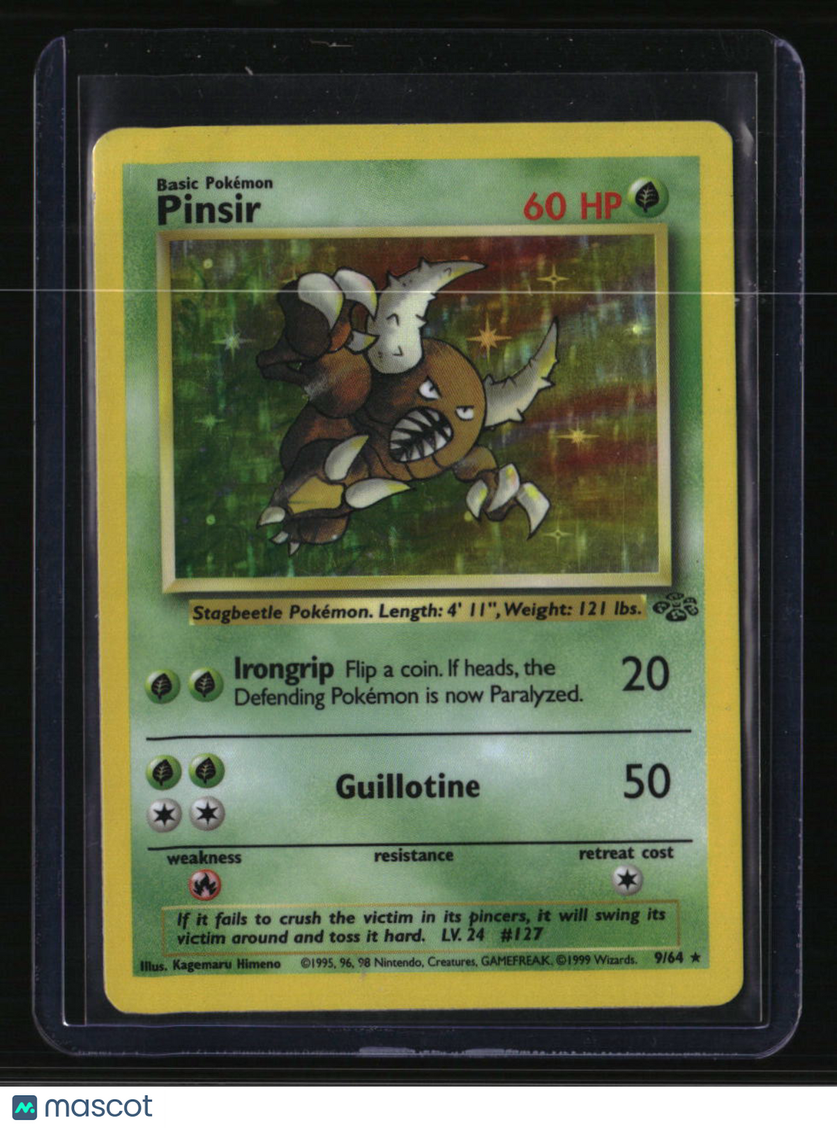 Jungle Pinsir (9)