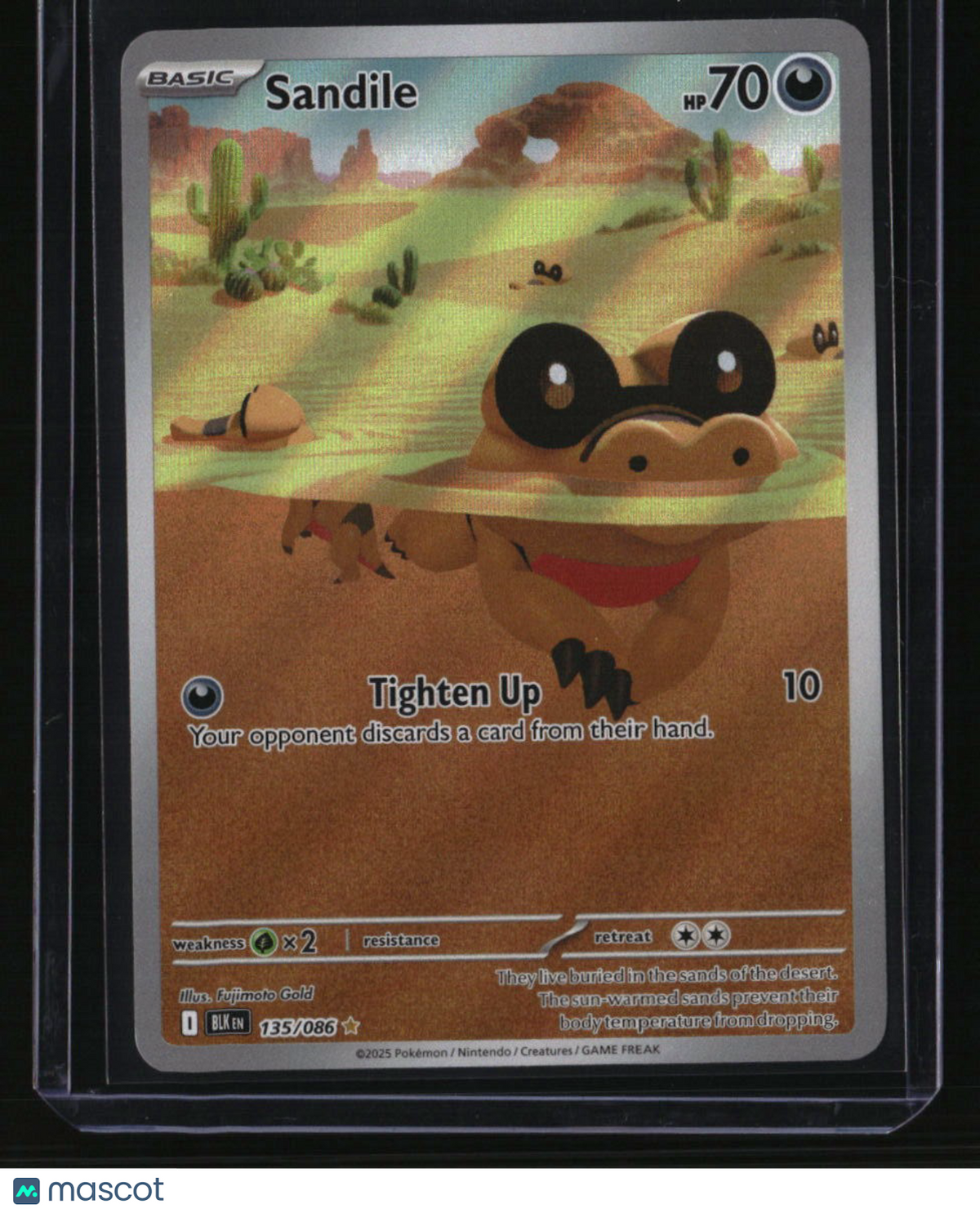 SV: Black Bolt Sandile
