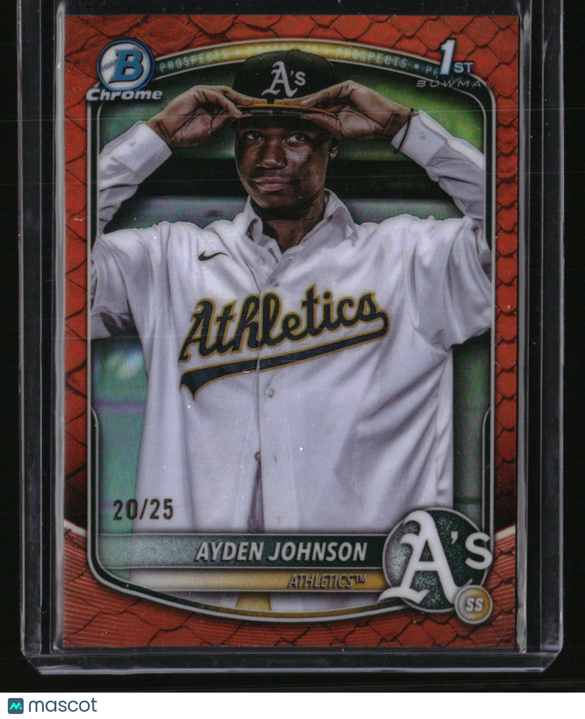 2025 Topps Update Jackson Jobe Gold Holo Foil #/50