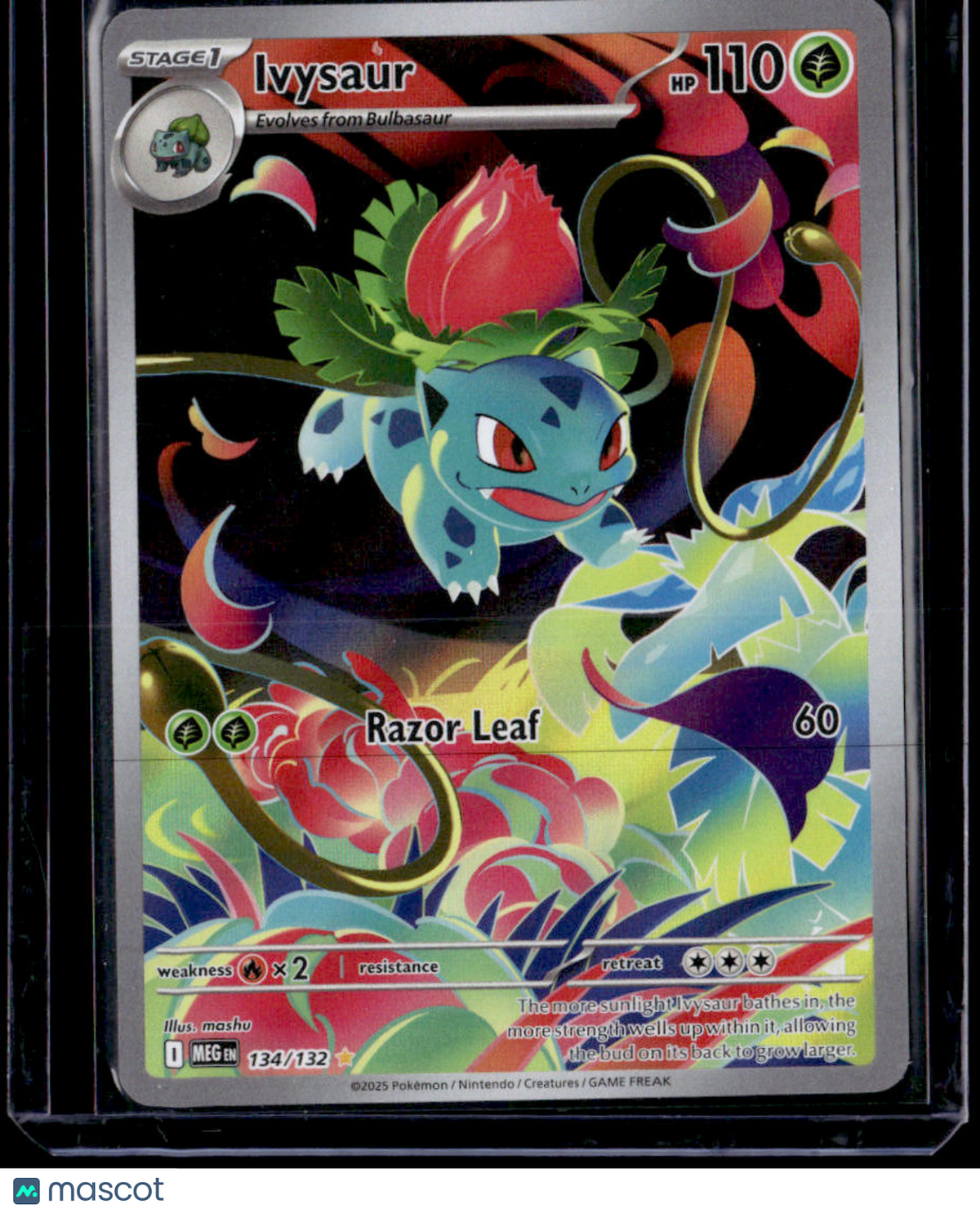 ME01: Mega Evolution Ivysaur
