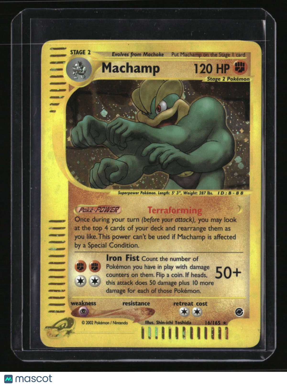 Expedition Machamp (16)