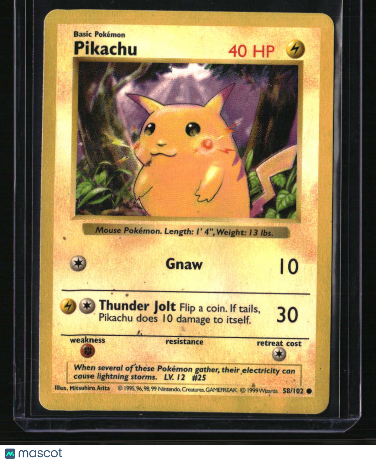 Base Set (Shadowless) Pikachu