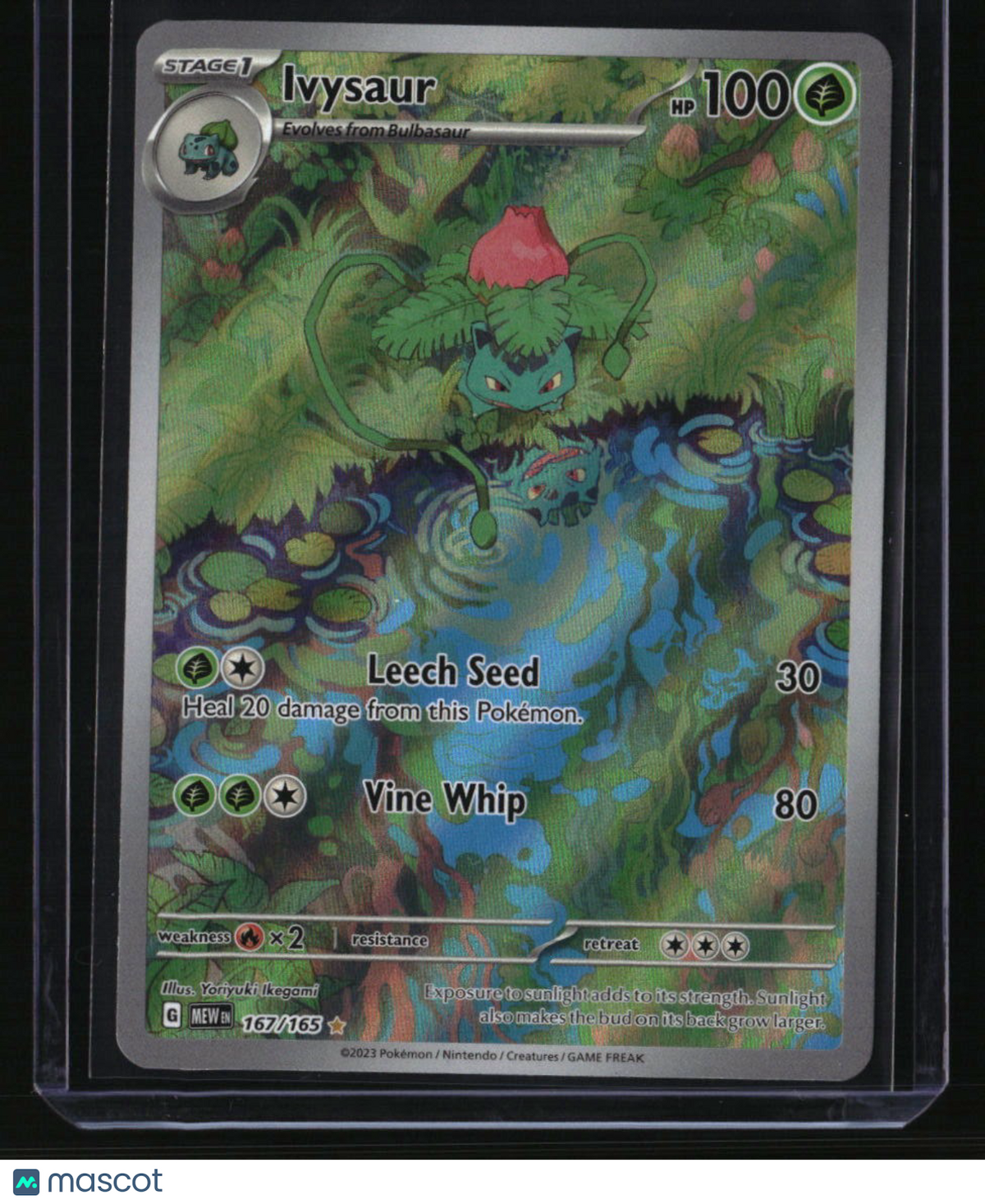SV: Scarlet & Violet 151 Ivysaur