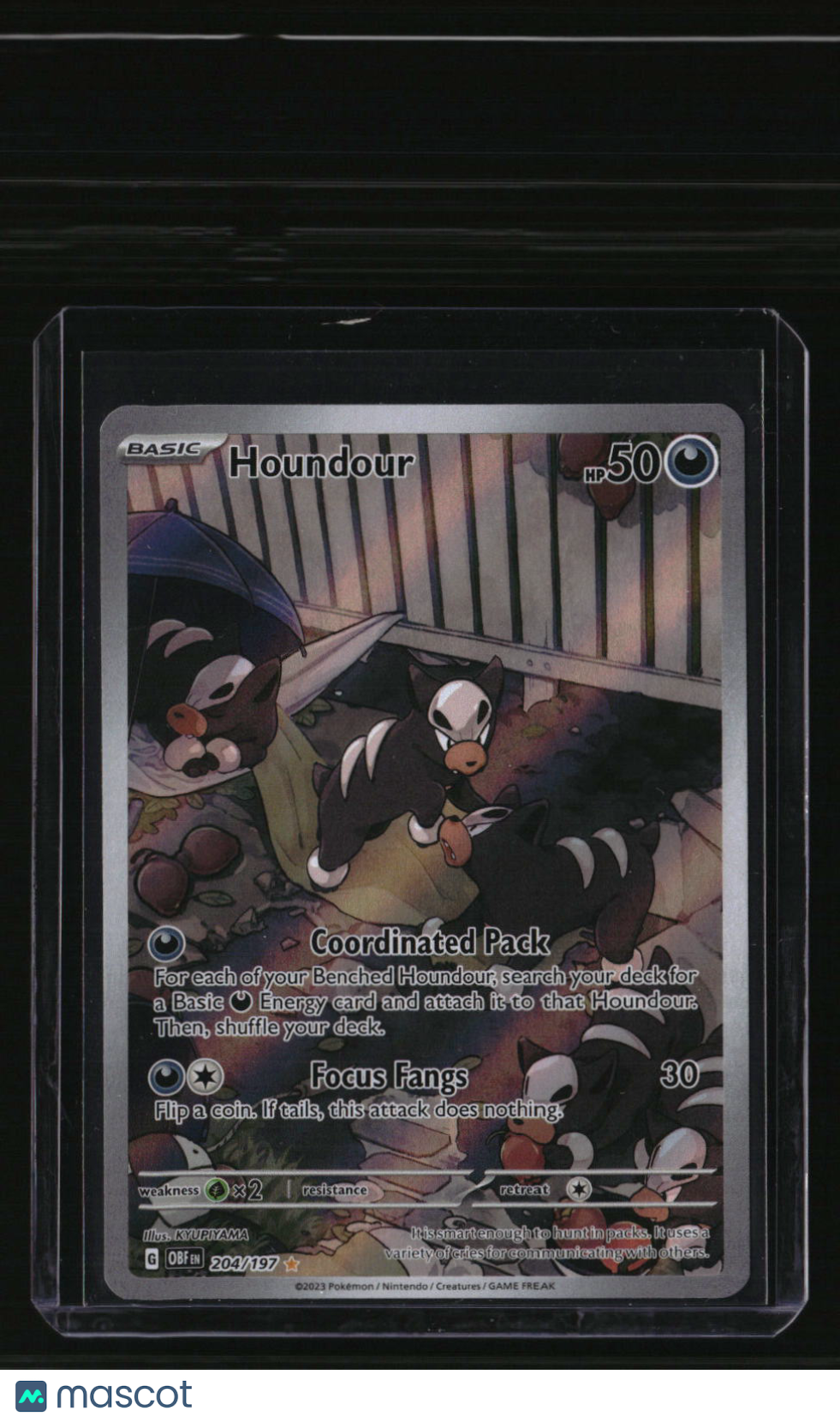 SV03: Obsidian Flames Houndour