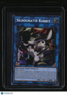 The Infinite Forbidden Silhouhatte Rabbit