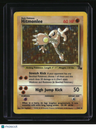 Fossil Hitmonlee (7)