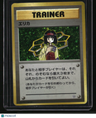 City Gym Decks Erika