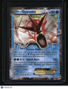 XY Promos Gyarados EX
