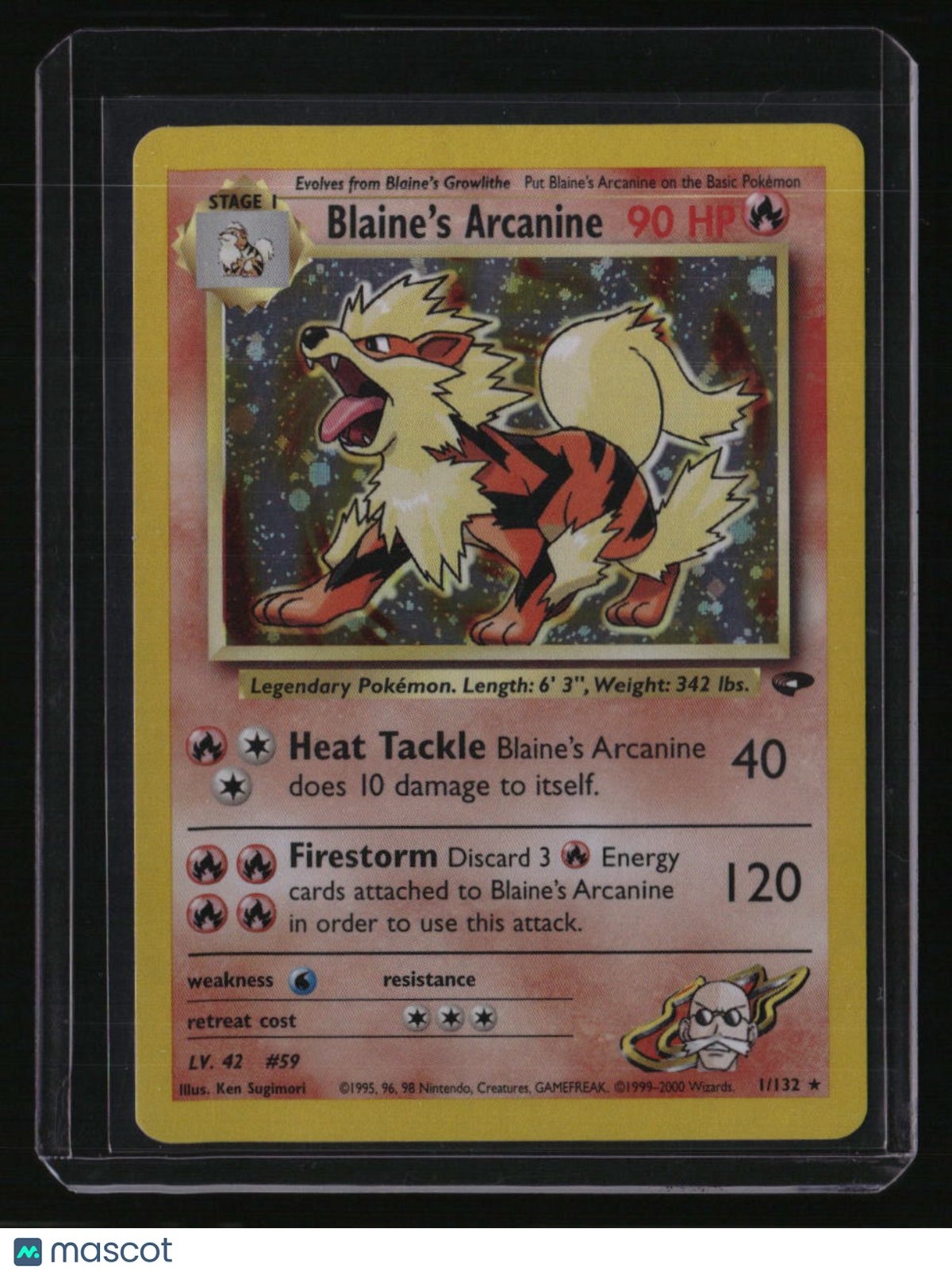 Gym Challenge Blaine's Arcanine