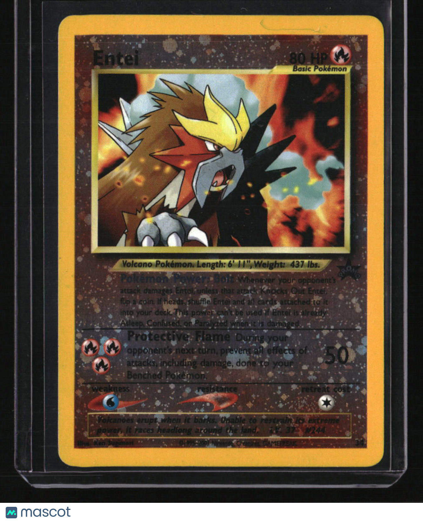 WoTC Promo Entei