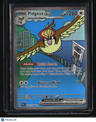 SV03: Obsidian Flames Pidgeot ex