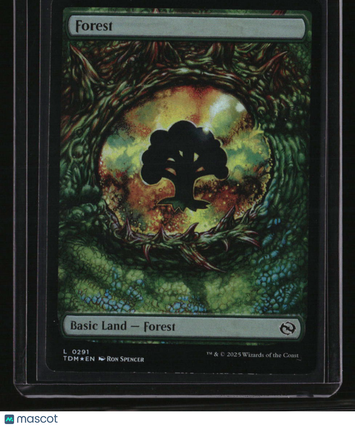 Tarkir: Dragonstorm Forest (0291) Foil