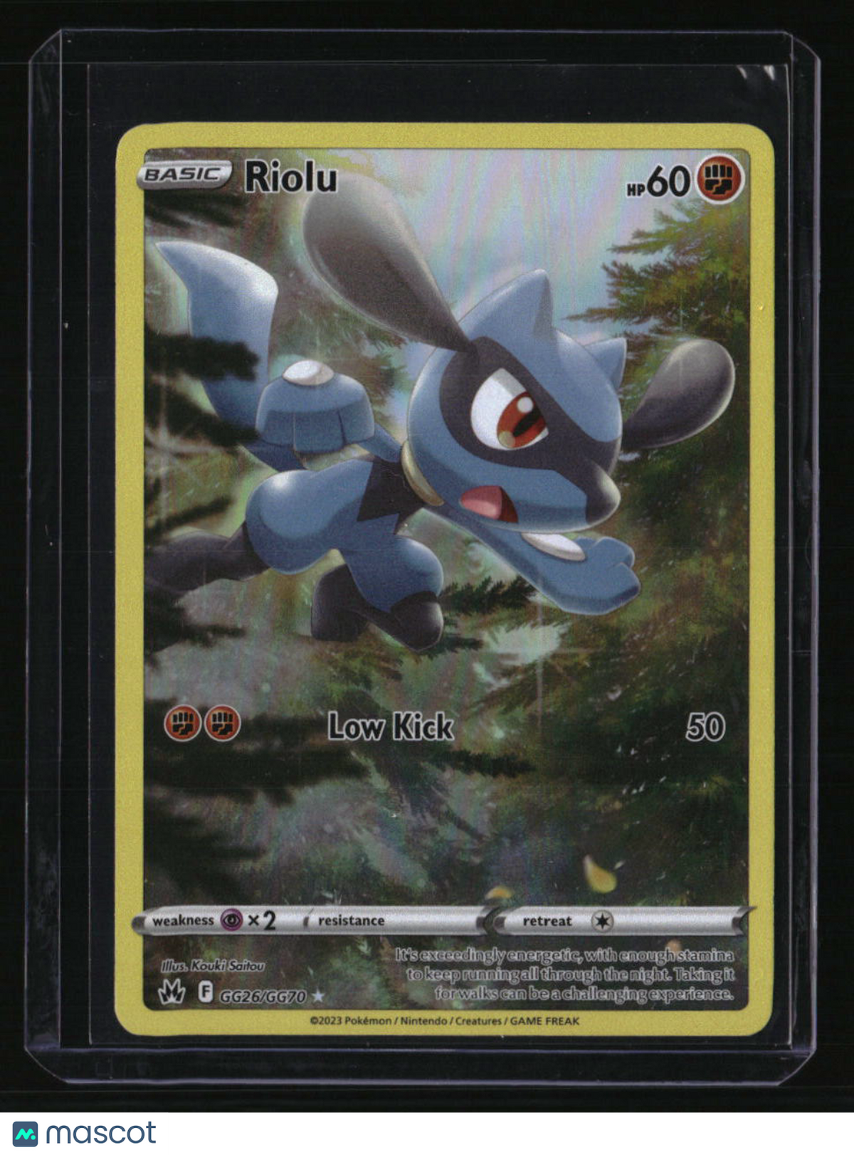 SWSH: Crown Zenith: Galarian Gallery Riolu