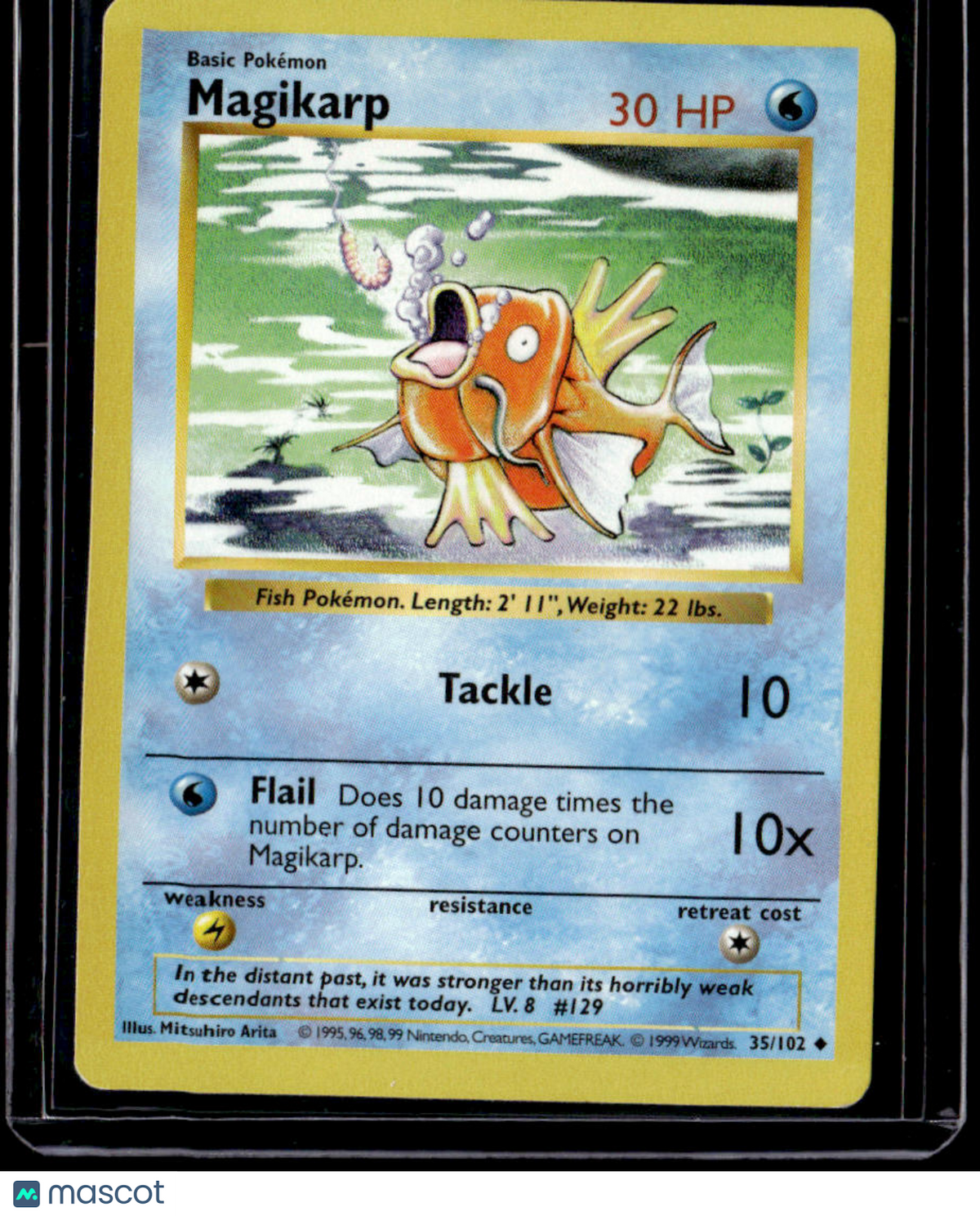 Base Set (Shadowless) Magikarp