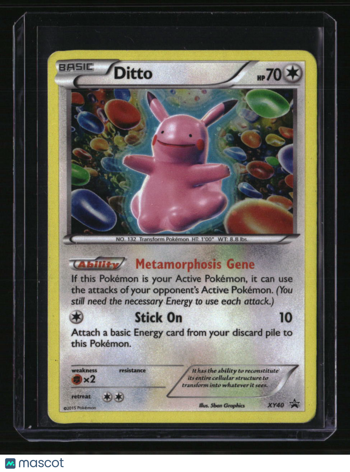 XY Promos Ditto
