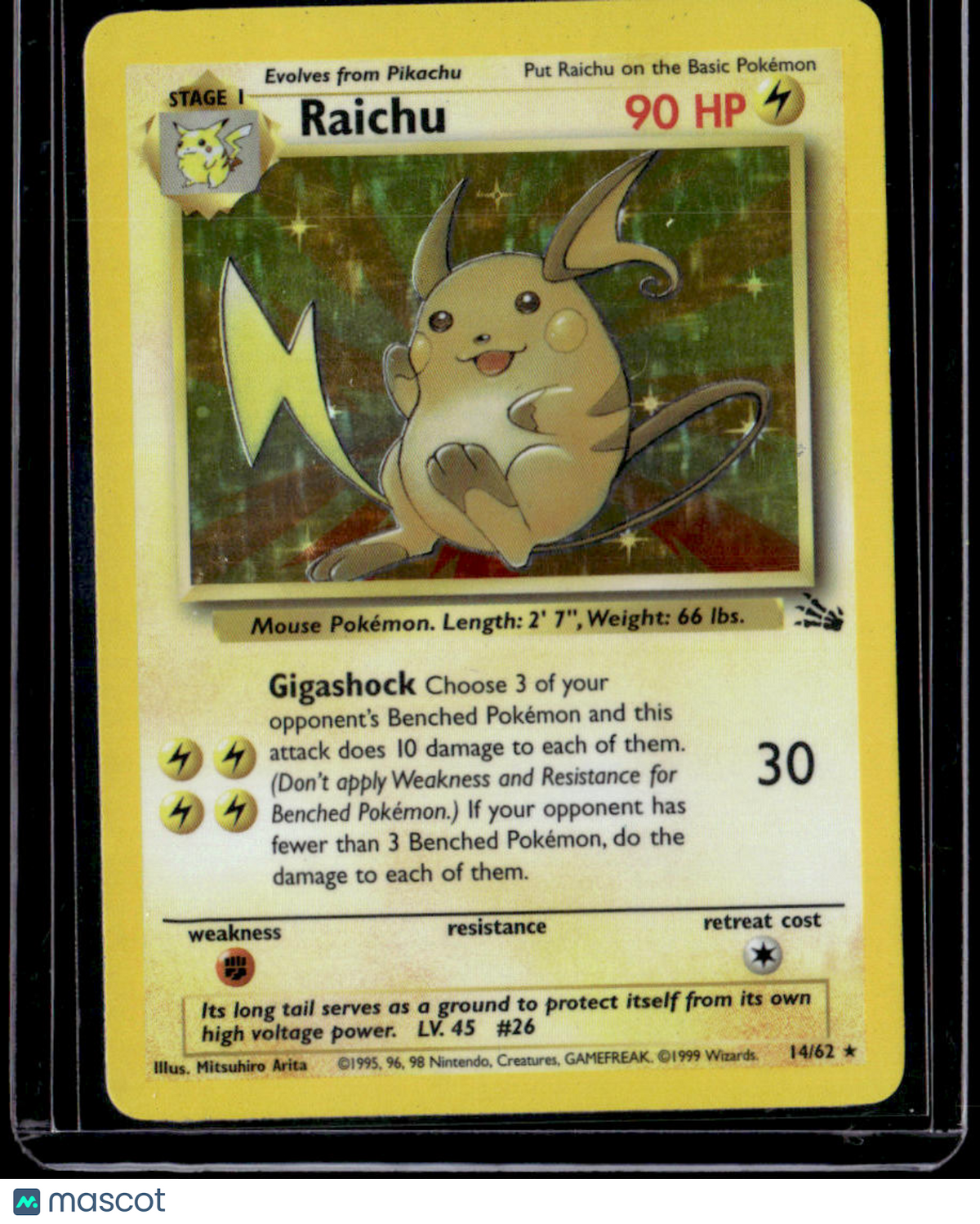 Fossil Raichu (14)