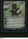 Secret Lair Drop Series Lord Windgrace Foil