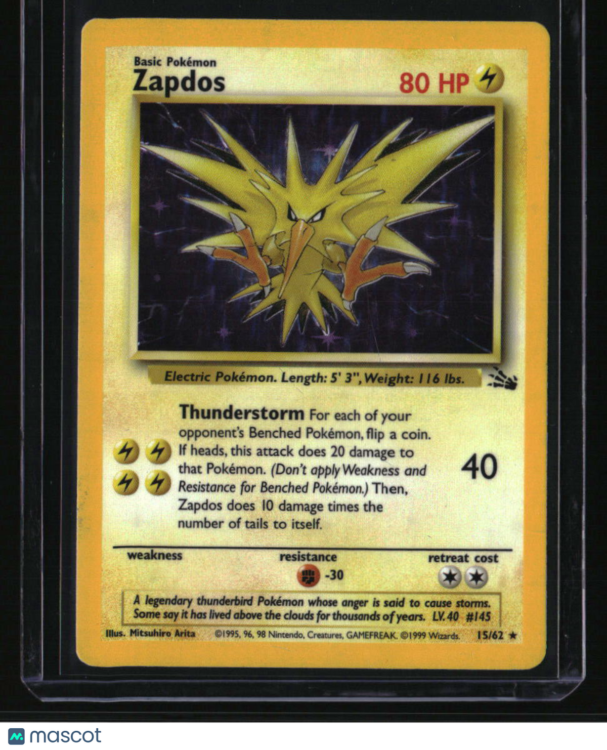 Fossil Zapdos (15)