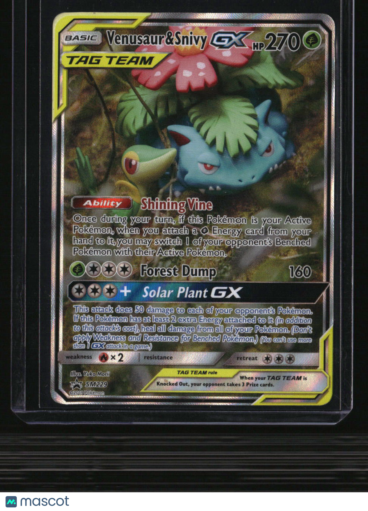 SM Promos Venusaur & Snivy GX