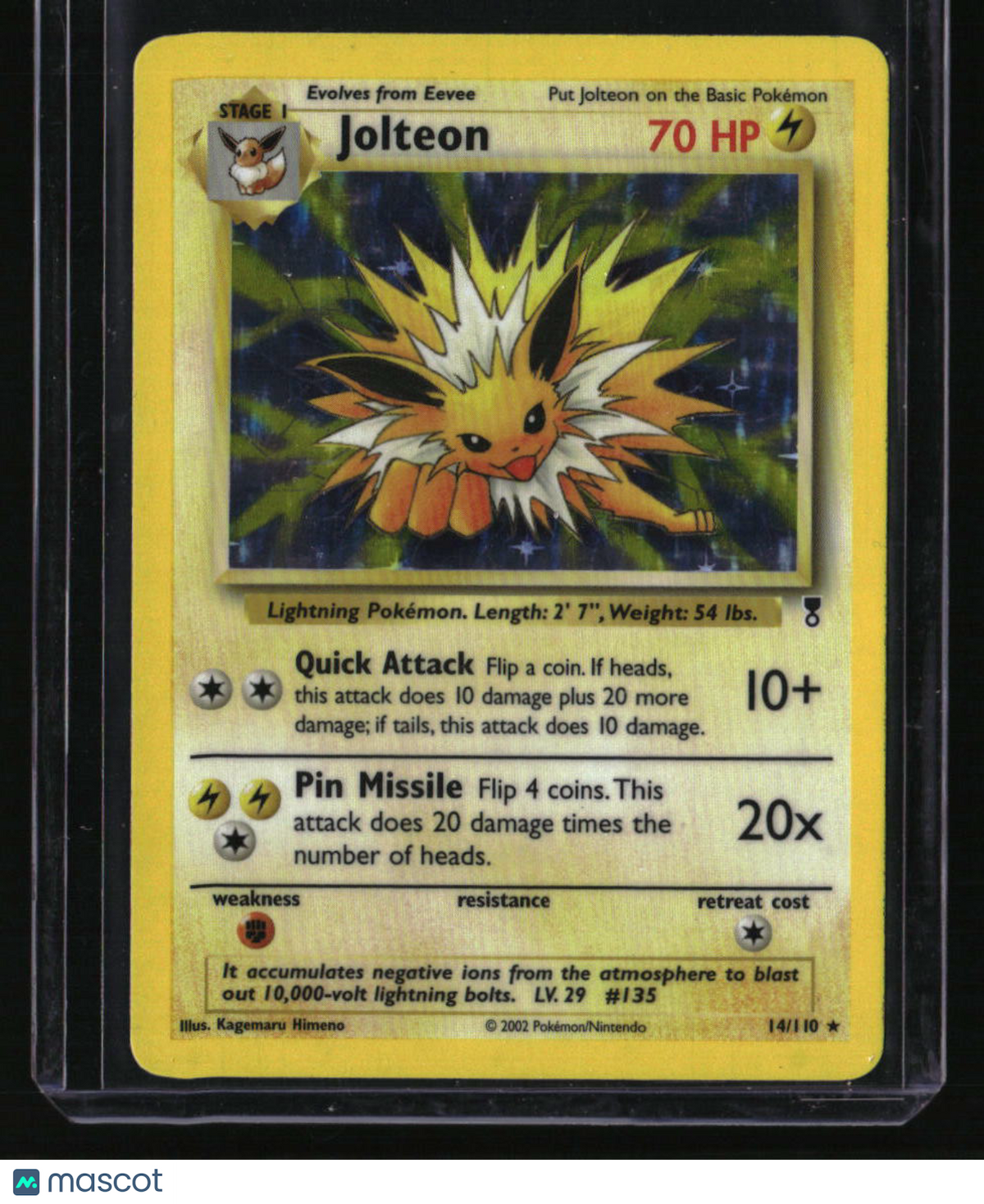 Jungle Jolteon (4)