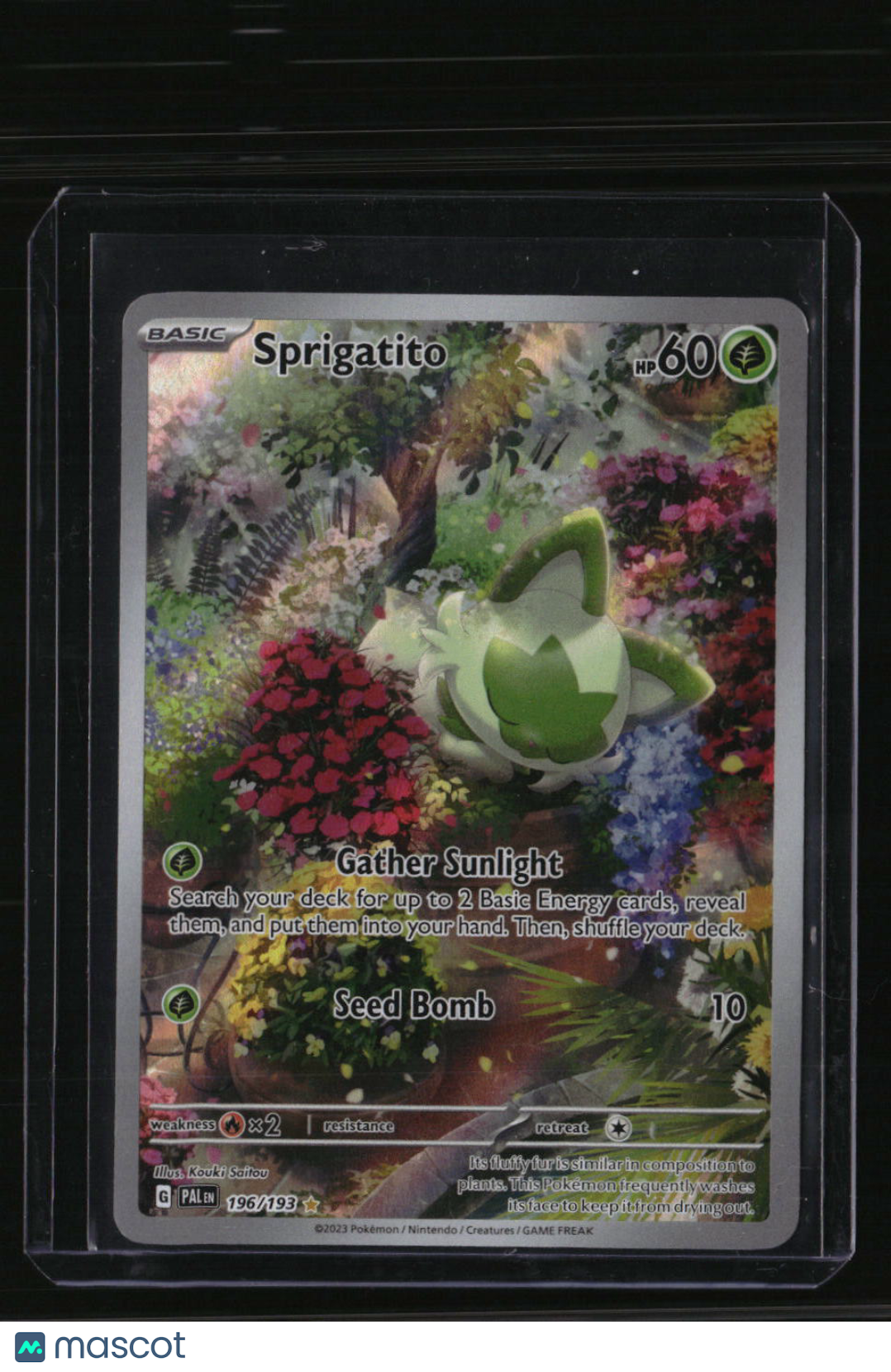 SV02: Paldea Evolved Sprigatito