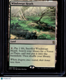Khans of Tarkir Windswept Heath