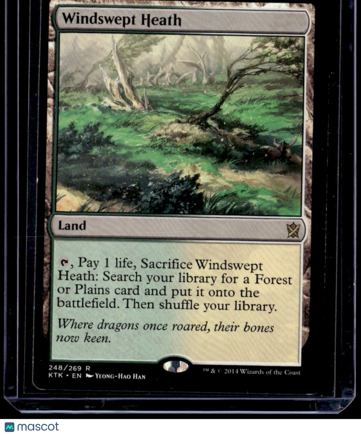 Khans of Tarkir Windswept Heath