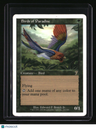 7th Edition Birds of Paradise