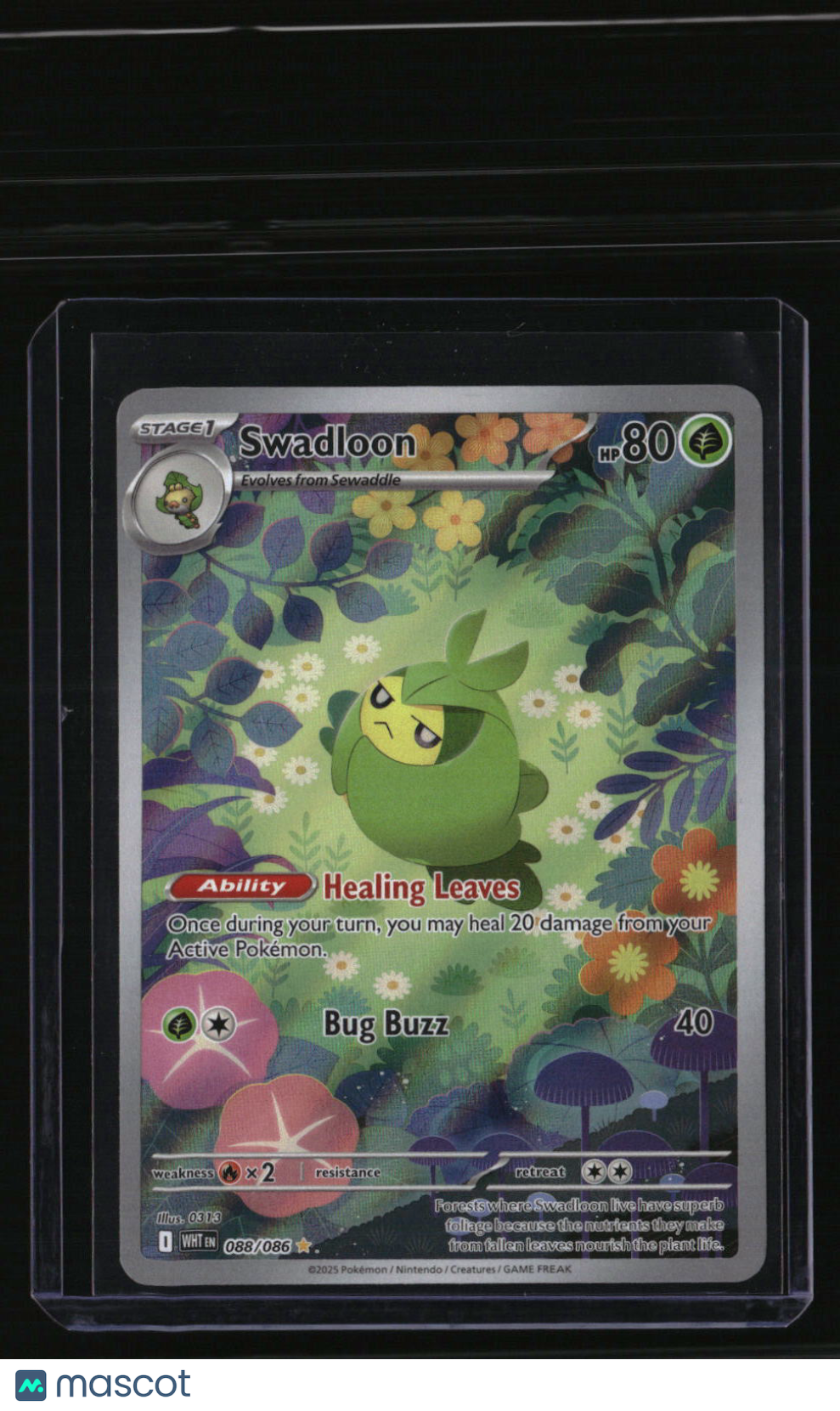 SV: White Flare Swadloon