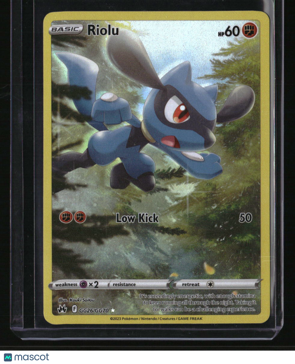 SWSH: Crown Zenith: Galarian Gallery Riolu