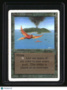 Revised Edition Birds of Paradise