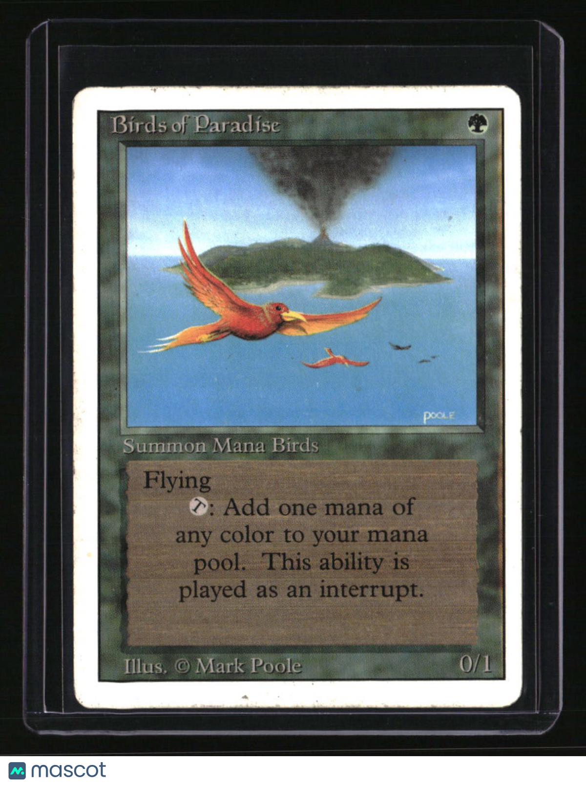 Revised Edition Birds of Paradise
