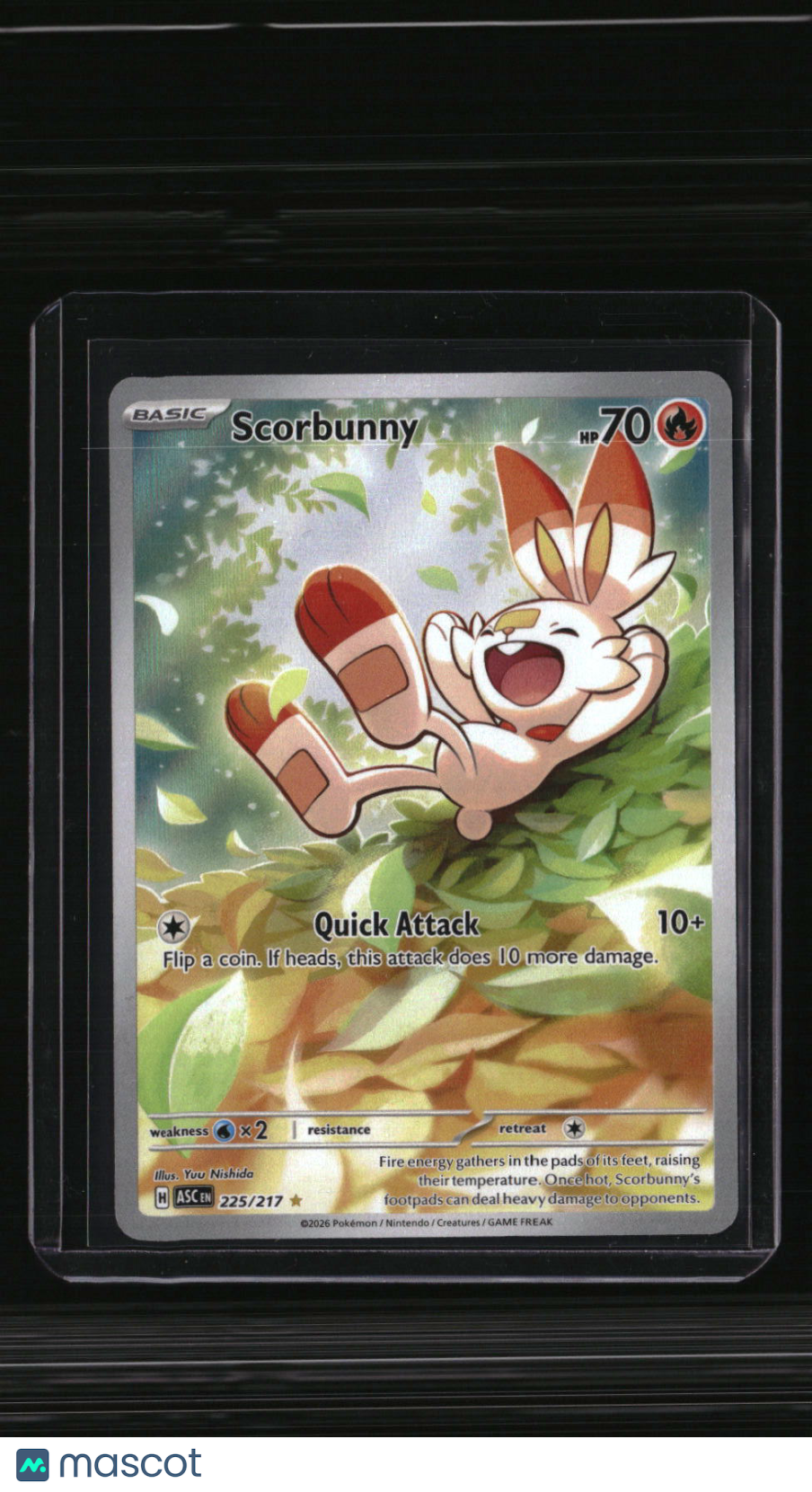 ME: Ascended Heroes Scorbunny