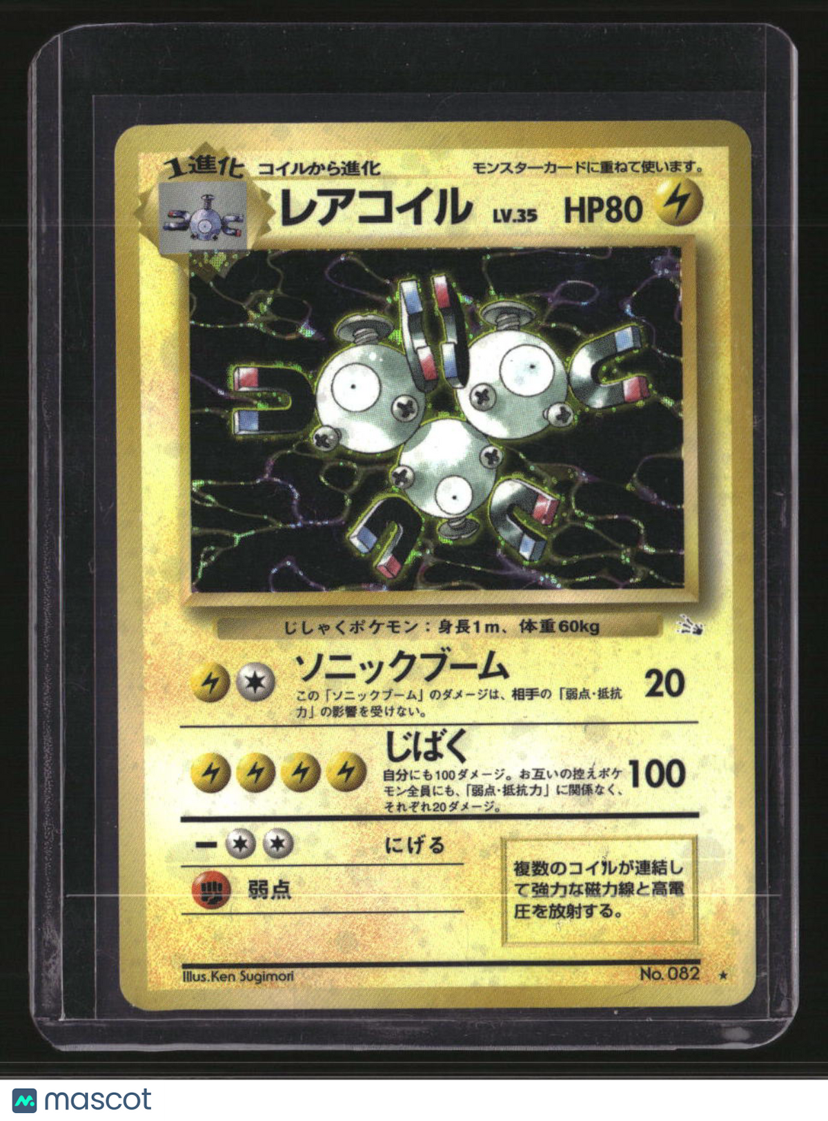 Mystery of the Fossils Magneton