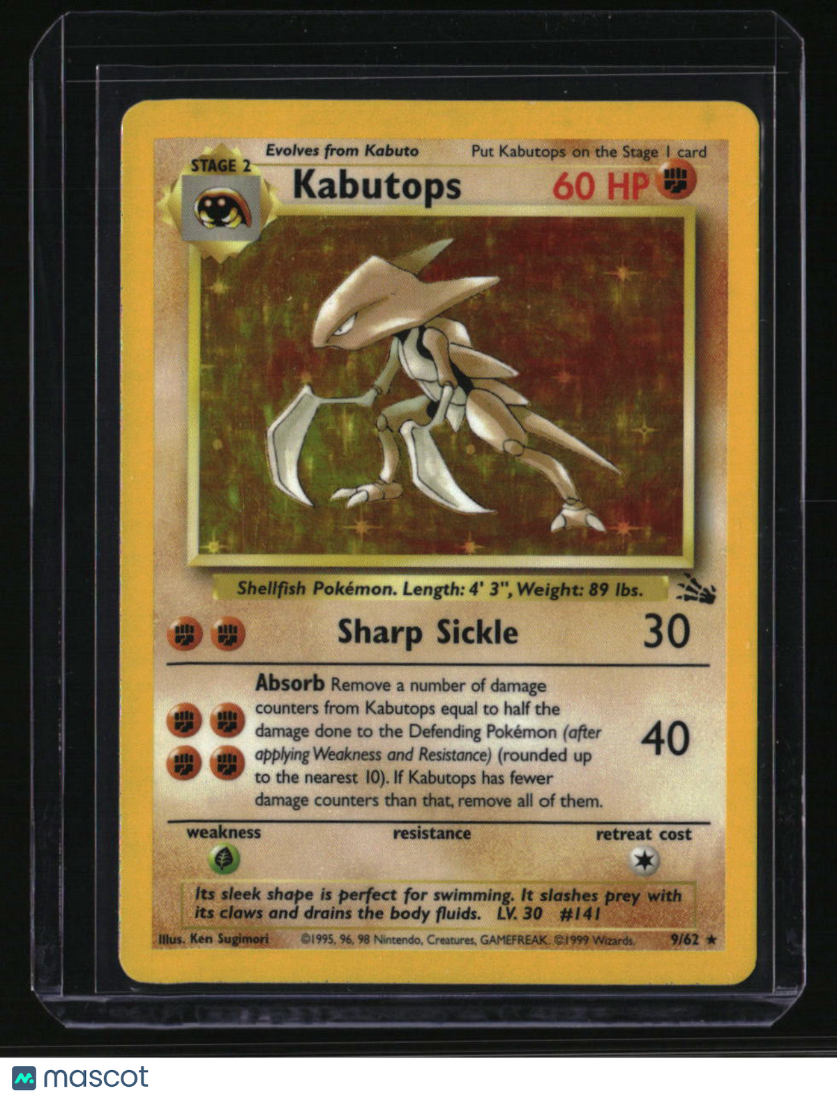 Fossil Kabutops (9)