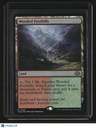 Modern Horizons 3 Wooded Foothills Foil